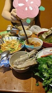 IMG_20260625_151844.jpg