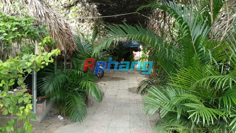 cafe-vong-tay-ninh-2.jpg