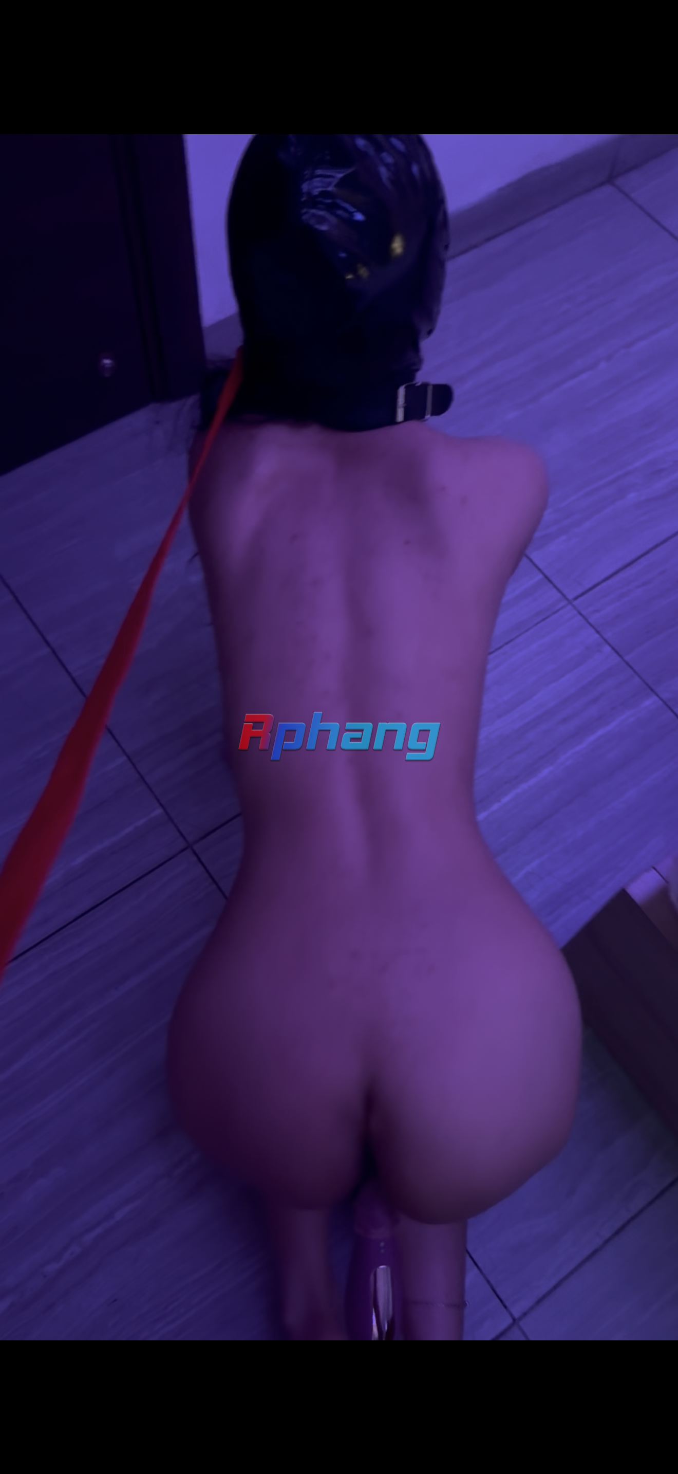 IMG_9488.png