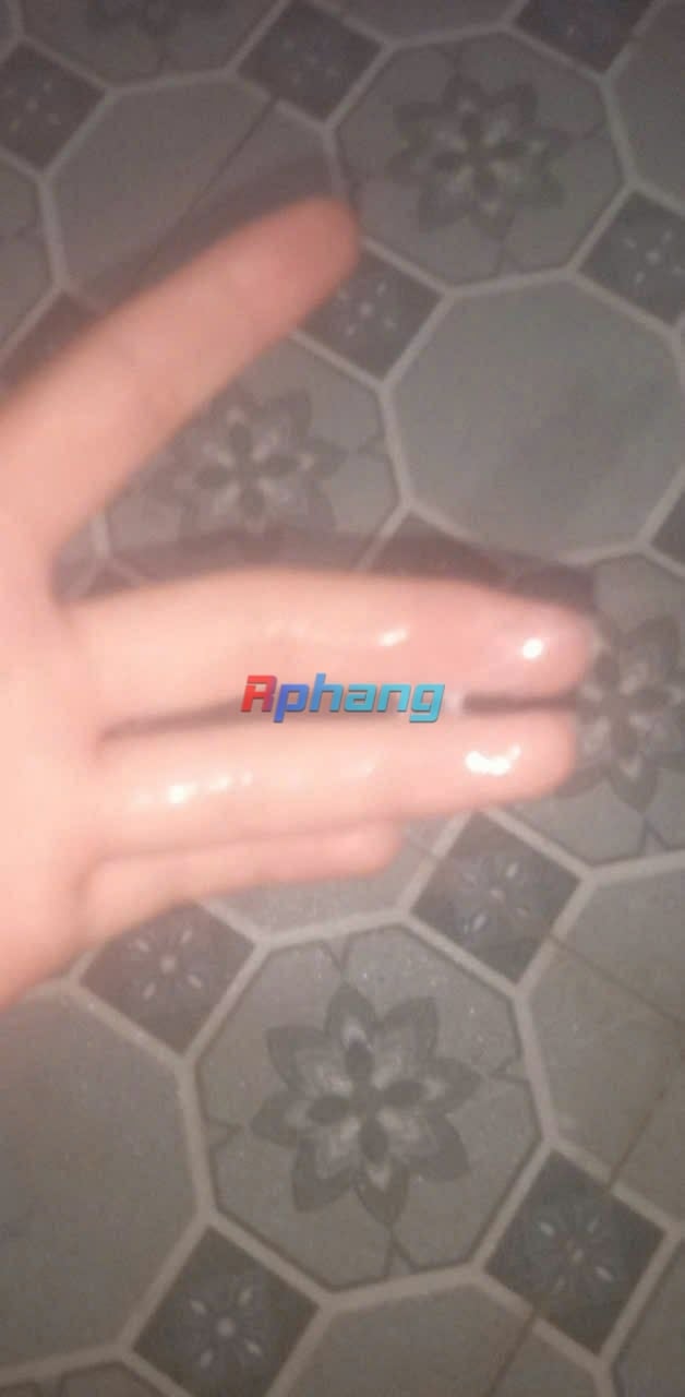 5461.jpg