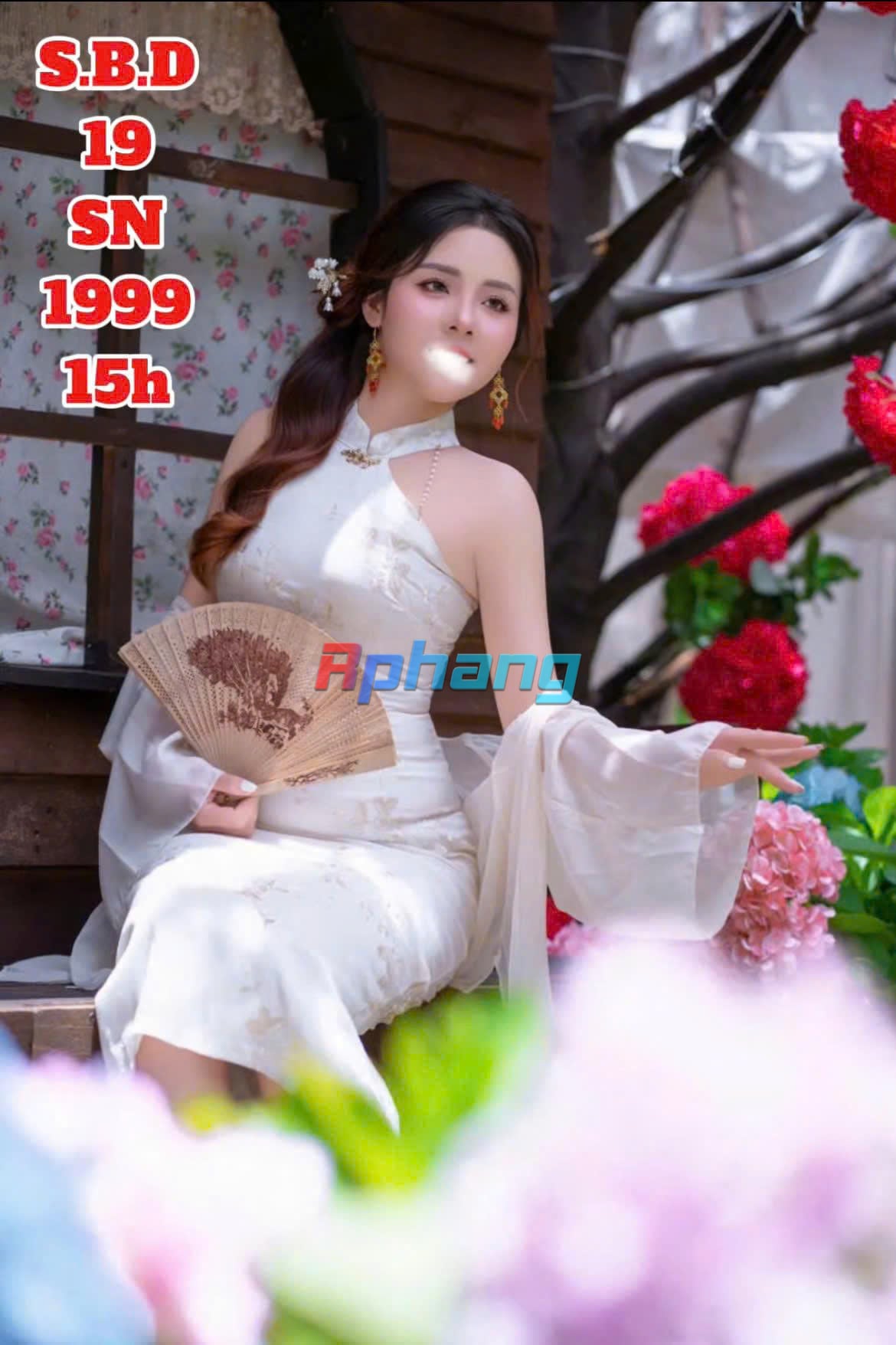 19..jpg