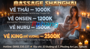 bannerT7.png