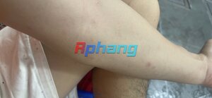 IMG_3042.jpeg
