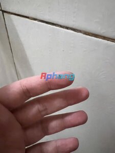 IMG_3046.jpeg