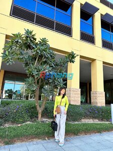 6faecd03c4844scda1595.JPG