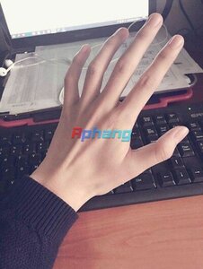 IMG_0210.jpeg