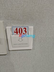 1784251337603.jpg