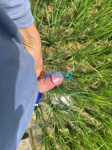 IMG_1141.jpeg