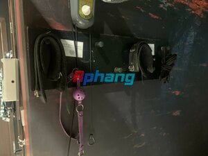 IMG_1020.jpeg