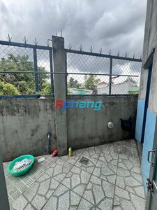 IMG_8229.jpeg