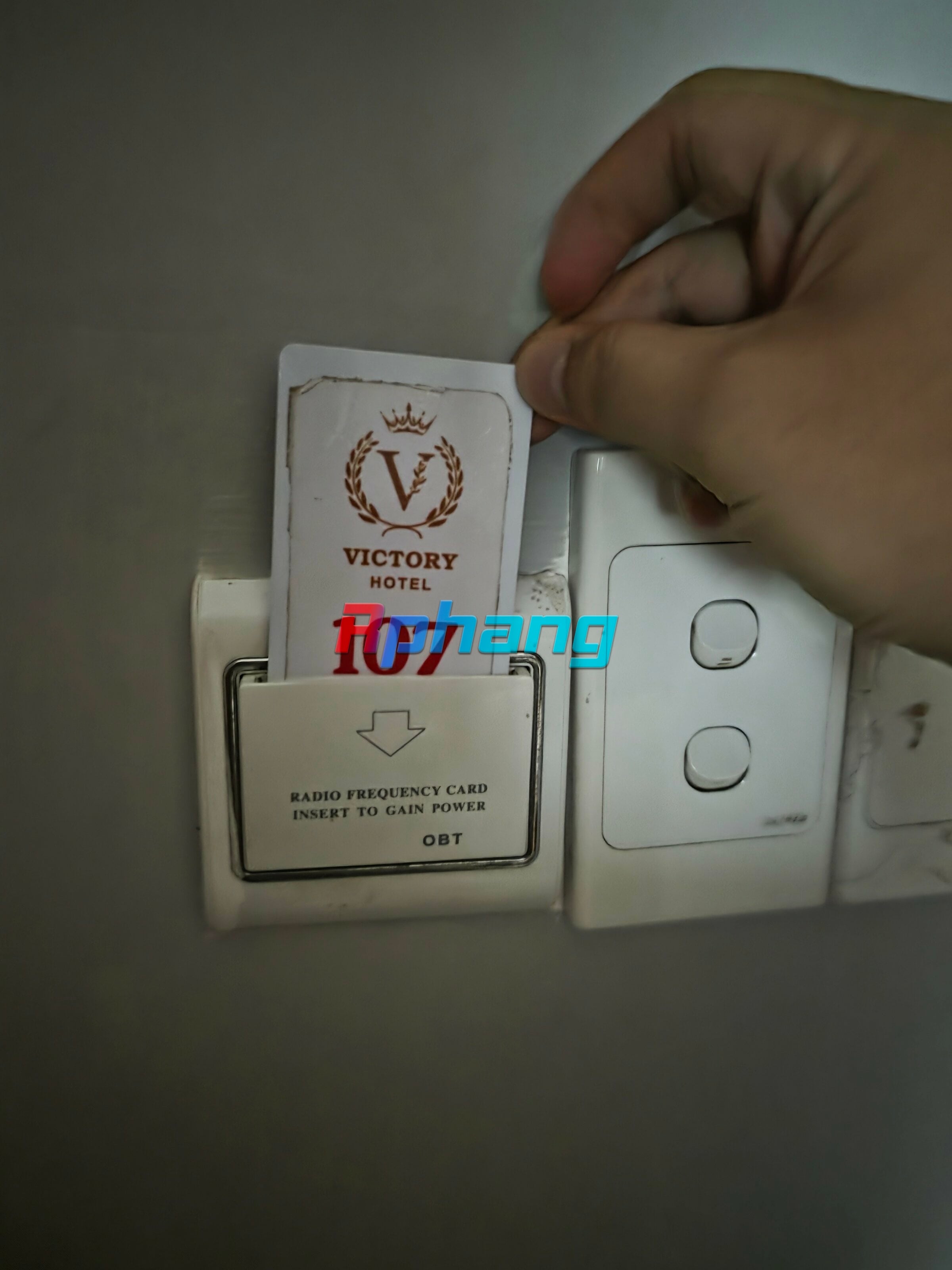 1000044198.jpg