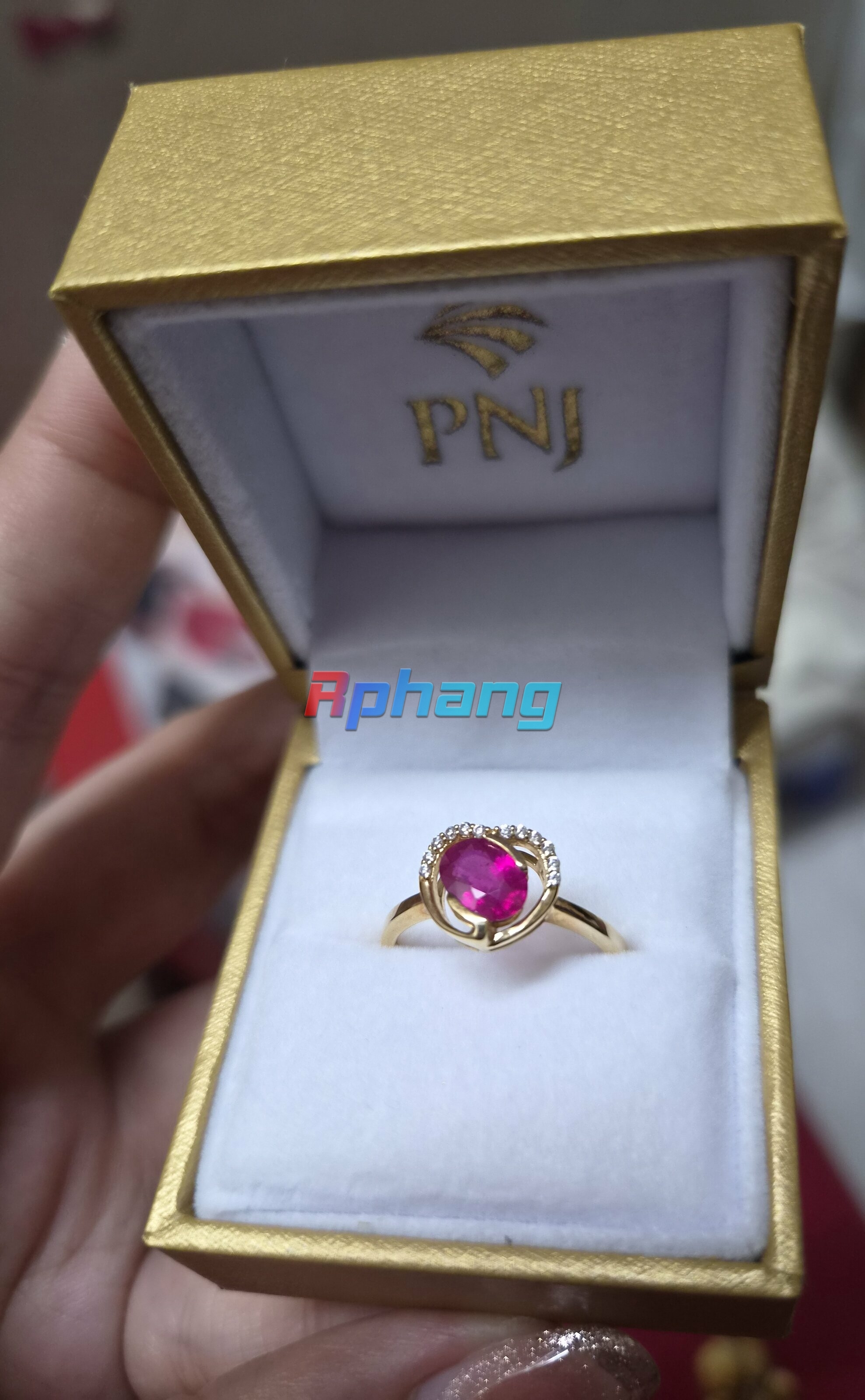 2600.jpg