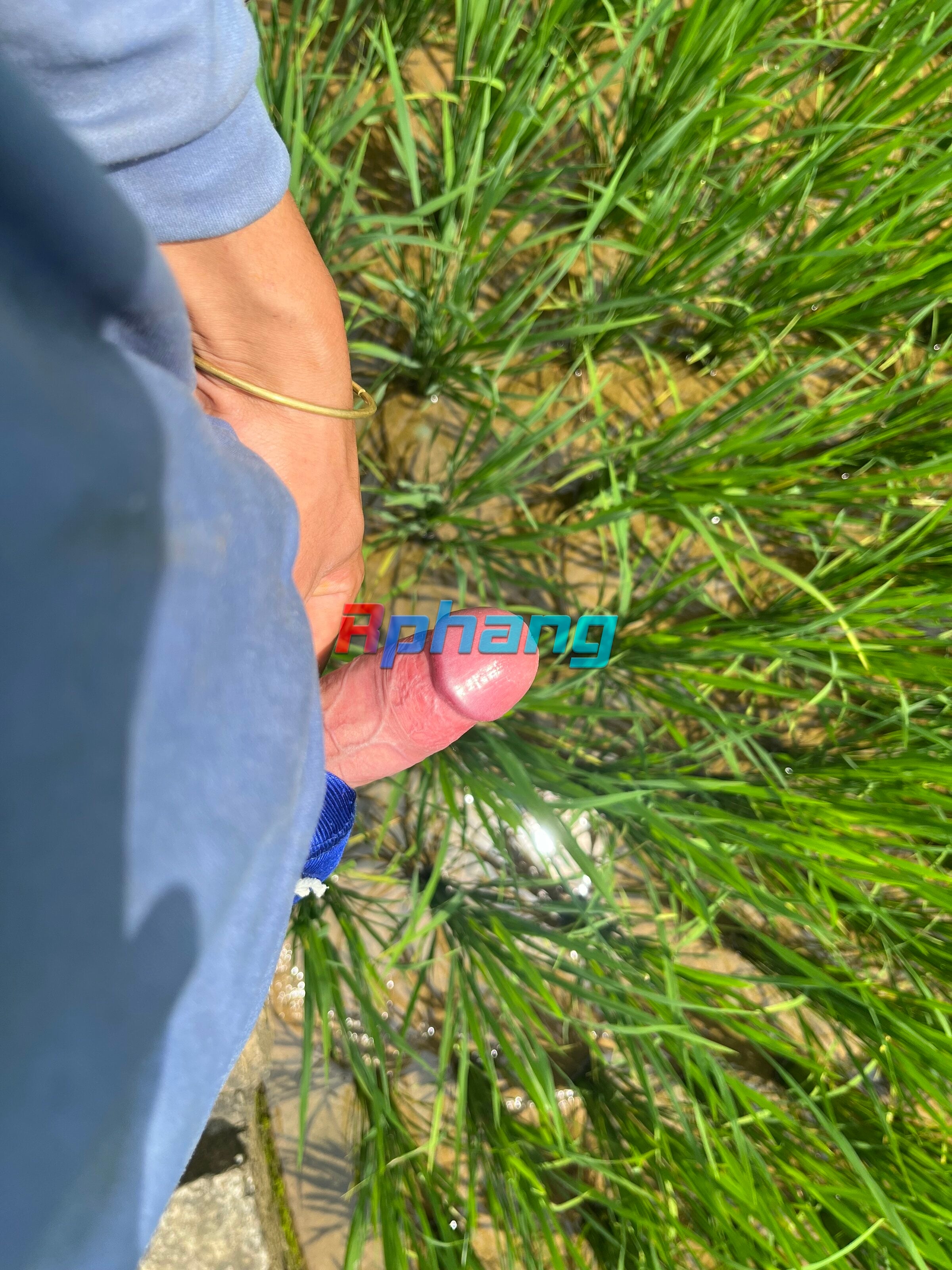 IMG_1141.jpeg