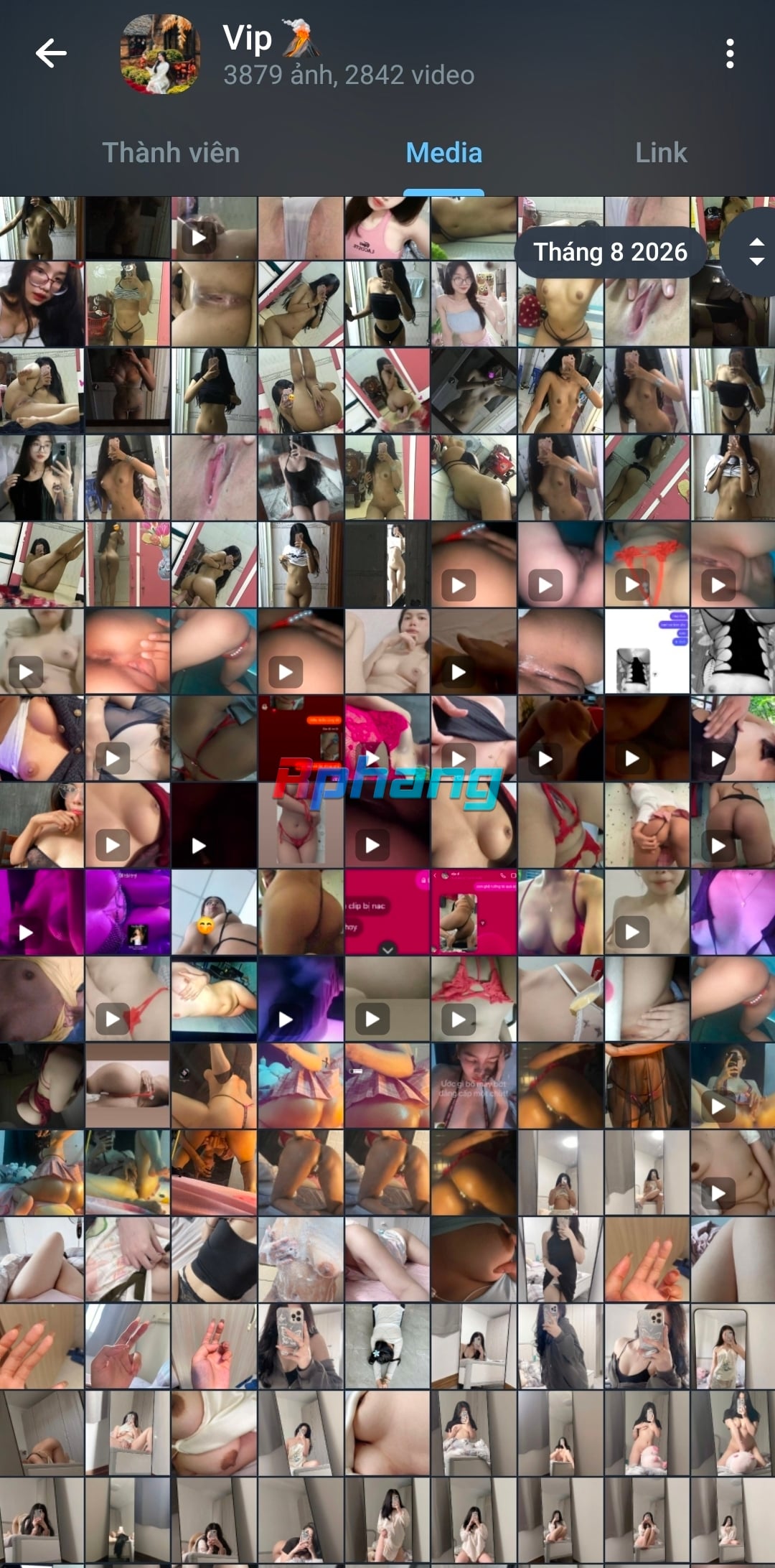 Screenshot_20260811_105048_Telegram.jpg