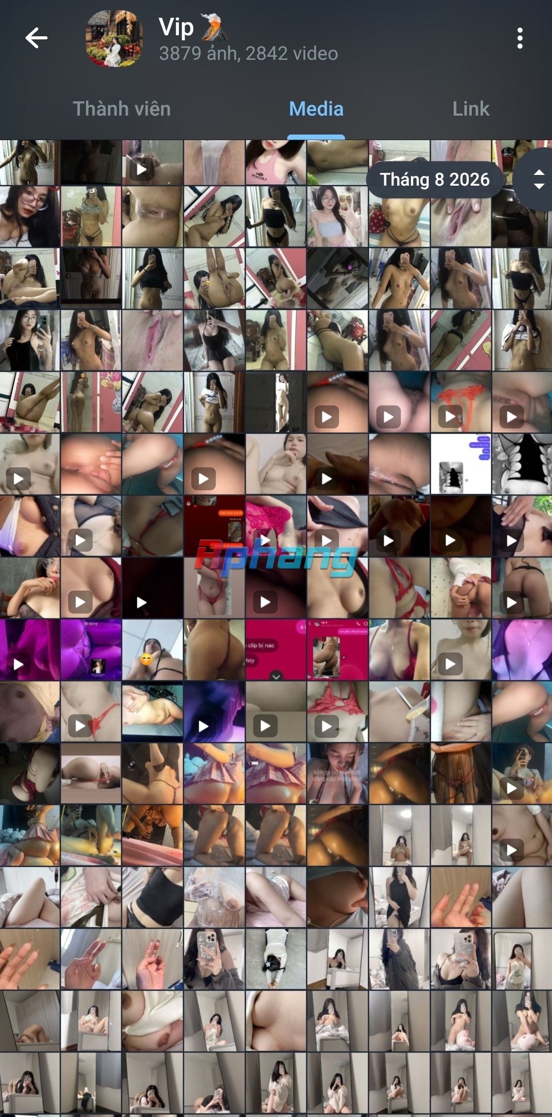 Screenshot_20260811_105048_Telegram.jpg