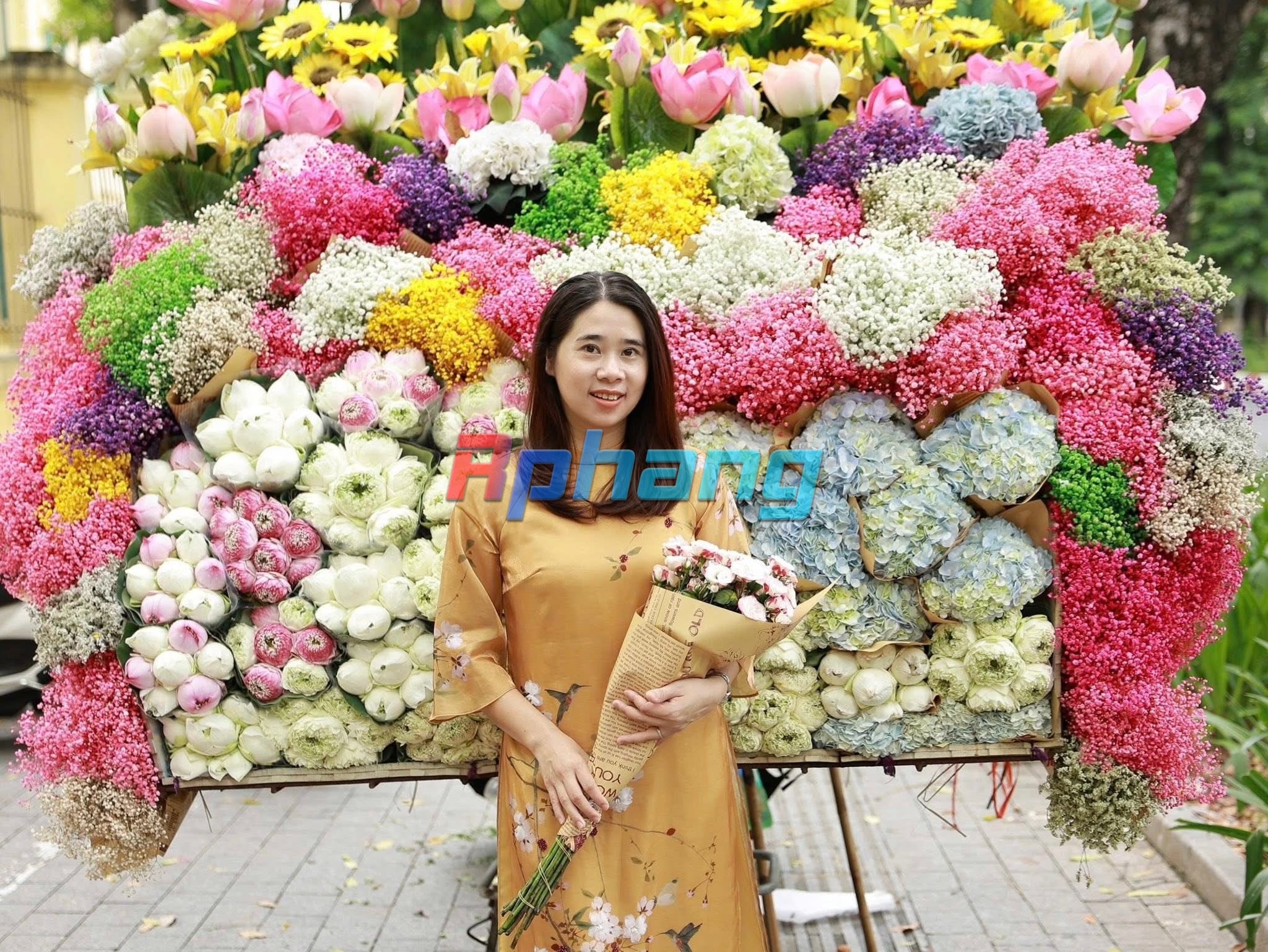 đỗ thu hiền.JPG