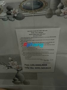 IMG_0181.jpeg