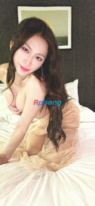 IMG_8730.jpeg
