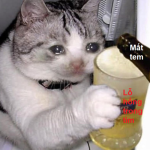 19194fad72af767861a419c47d21f22c47f56f94d41c0b33649817e1e120d0ab.png