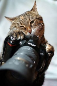 89C3225C-941E-4BCF-81F2-1EC60B58A5ED.jpeg