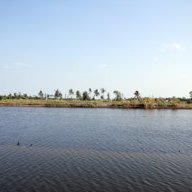 Em ơi