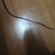 Hộtle