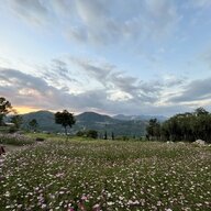 Hoidong7