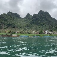 Đầu moi