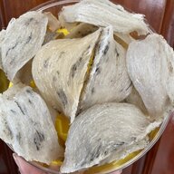 Thanh952