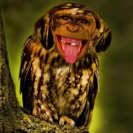 frodochicky