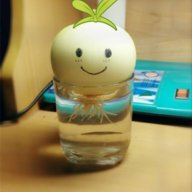 Onion