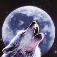 lonely Wolf