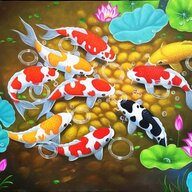 Em Bé đi bộ