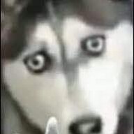Haodanh
