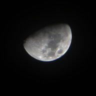 Gà_07