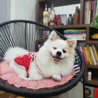 phantanhuy05