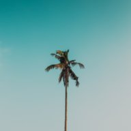 MeKong_Delta