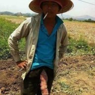 Khoinguyen5656