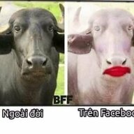 bắt cóc
