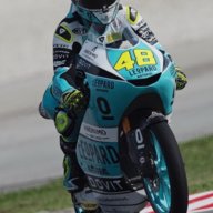 dvvt19