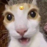 anhdeptraikiki