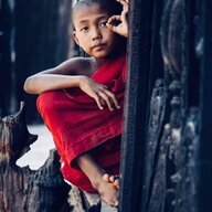 ThanhNguyen195