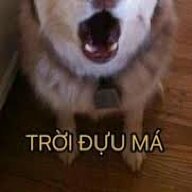 Trai tân bùi n