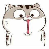 No0spirt