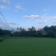 Dongdam112
