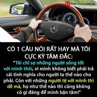 Alô zô
