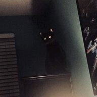 darky