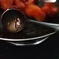 chịch1