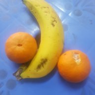 Concuchaba96