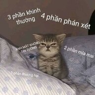 thanhsangyyy11